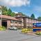 Comfort Suites Boone - University Area - Boone