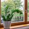 Haus Gartenblick