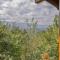 360 Padgett Mill Rd Cabin