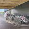 NEW! Luxury Lakefront Lodge 1- FREE Pool/Hot Tub, Pickleball, Mini Golf and More!