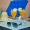 Riad Ambre et Jasmin