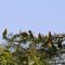 Gongali House - Karatu Rewilded