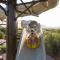 JW Marriott Phoenix Desert Ridge Resort & Spa