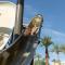JW Marriott Phoenix Desert Ridge Resort & Spa