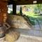 Casa veche “Old house”