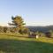 Gorgeous Home In Anghiari With Outdoor Swimming Pool