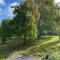 Les pampas