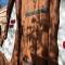 Glamping PEC - HALFBOARD