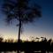 Nkorho Bush Lodge - Sabi Sand Vadrezervátum