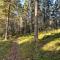 Sapelin airbnb, Parkano