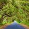 Off-Grid Getaway with Ocean Views in Paradise - Pahoa