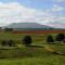 Blackbrook Farm Underberg