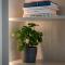 Pass the Keys Stunning 3 Bedroom Townhouse in Central St Albans