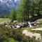 Apartment Chalet Sunstar Klein by Interhome