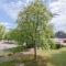 Ferienwohnpark Immenstaad am Bodensee Zwei-Zimmer-Apartment 53 09 - 博登斯边的伊门施塔特