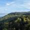 Wohnen im Schwarzwald mit Panoramablick - Bad Herrenalb