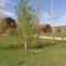Pet Friendly Darby Barn in Teton Valley - دريغس