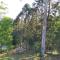 "On Burgum Pond" Cottages