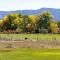 Cortez Retreat with Office and Stunning Mtn Views - كورتيز
