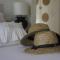 Guesthouse Le Mas de Cotignac