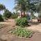 Chez Fatou et Saladin