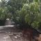 Relaxed garden apartment with Galilee sea view 1 - Safed