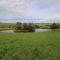 Meadow View