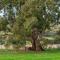 Koolbury Cottage. Farmstay Valley Retreat