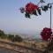 Relaxed garden apartment with Galilee sea view 1 - Safed