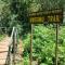 Camping Magamba Forest