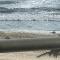 Apartment Bahia del Sol, a 20 m de Playa Arenal-Bol,Calpe