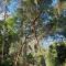 Bird Songs Getaway Accommodation