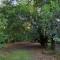 Bird Songs Getaway Accommodation