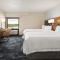 Hampton Inn Wausau - Wausau