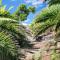 Finca Wayra Wasi