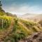 KABAJ Wine & Dine
