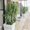 Bona Vista Self-Catering Accommodation