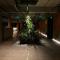 Hotel Doina