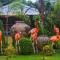 Mayfair Oasis Resort & Convention