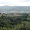 Heart of Tuscany - Terricciola home experience