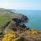 Fern Villa B&B - Fishguard