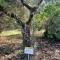 Il bosco sul Tevere Guest house
