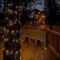Romantic getaway in the treetops