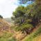 Jardin de Mucho