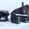Cottage in Yasinya