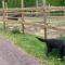 Studio apartment close to E18