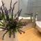 Puertito Beach Suites 1