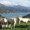 Gîte de charme : La grange au lac Azur - Treffort