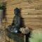 Emerald Spa Guest house