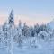 Lux Lapland Cranberry Levi center apartment 61m2 ski-in ski-out 2 bedr & 2 bathr - 列维